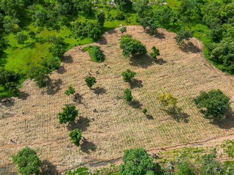 ACE4ES Consortium advocates enhanced agriculture to Ghana’s Nationally Determined Contributions ...