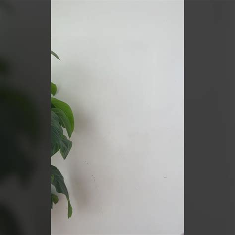 Captain America Shield – Madras Prop Store