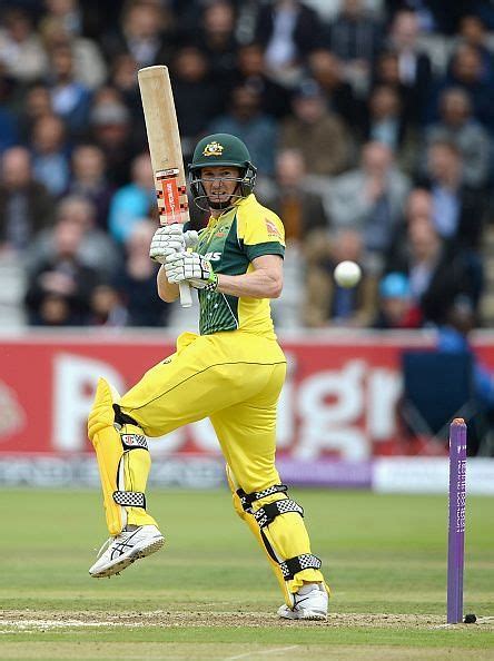 George Bailey appointed as full-time selector by Cricket Australia
