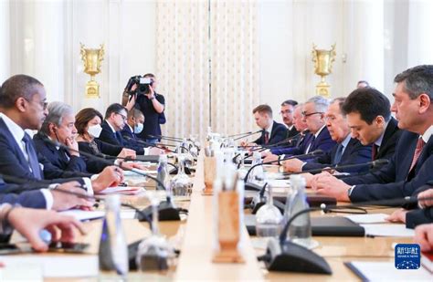 俄外长说俄方愿通过谈判解决乌克兰危机-国际在线