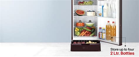 LG 185 L, 5 Star, Smart Inverter, Direct Cool Single Door Refrigerator ...