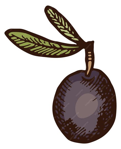 Premium Vector | Black olive color illustration hand drawn sketch ...