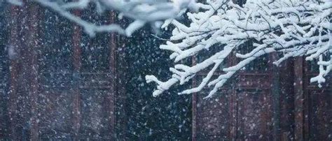 局地暴雪！西安多地已下雪（多图）！西安发布灾害性天气预报！ - 西部网（陕西新闻网）