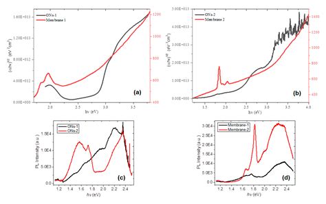 Fabrication of Hybrid Membranes Containing Nylon-11 and Organic ...