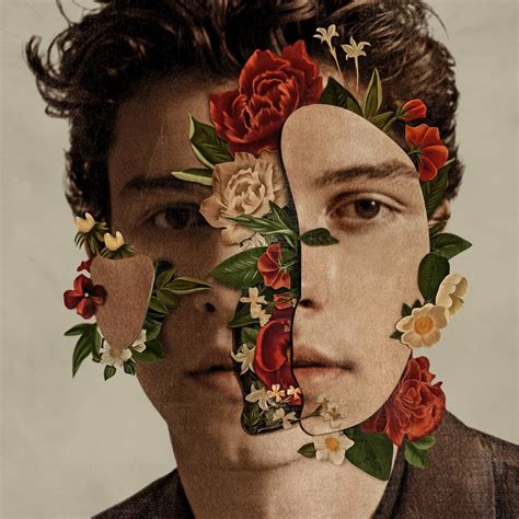 shawn mendes the album | Shawn mendes album, Shawn mendes cd, Album art