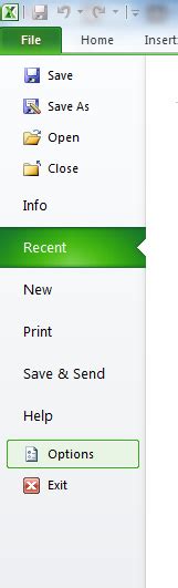 Image result for Excel File Options