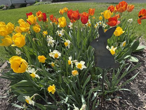 Washington - OBITUARY NOTICE From Jones - Eden Funeral Home Washington ...