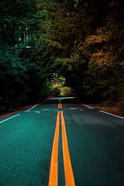 Download wallpaper 800x1200 road, marking, turn, trees, asphalt iphone ...