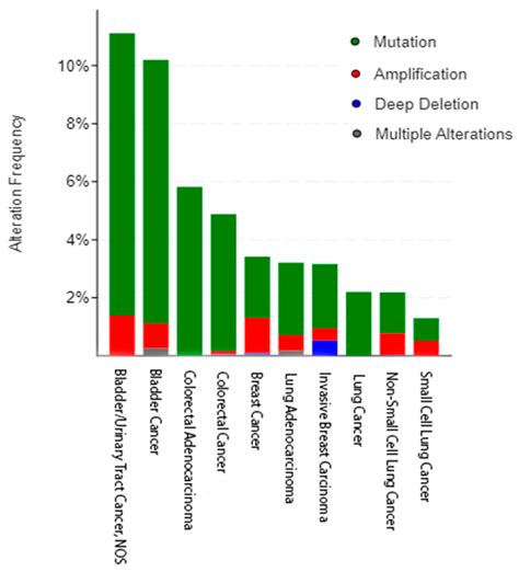 HER3 Alterations in Cancer and Potential Clinical Implications