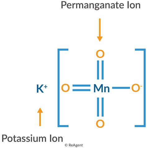 What Type Of Ion Does Potassium Form at Samuel Galan blog