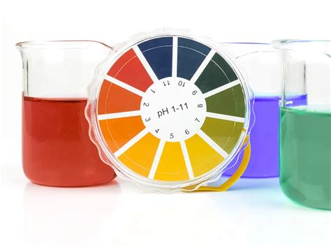 pH Testing 的图像结果