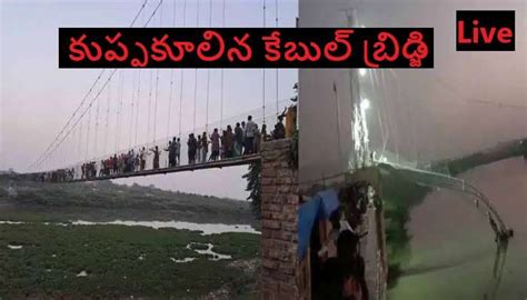 Cable Bridge Collapsed in Gujarat | Zee News Telugu