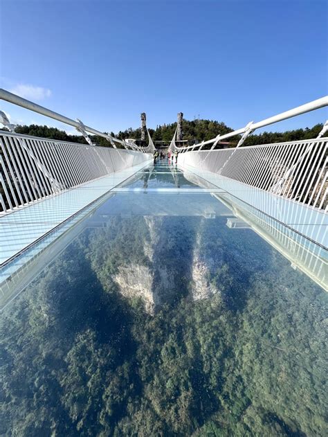 Avatar China 的图像结果