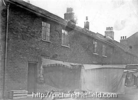 Searching Picture Sheffield