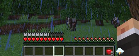 Image result for Local Weather Mod