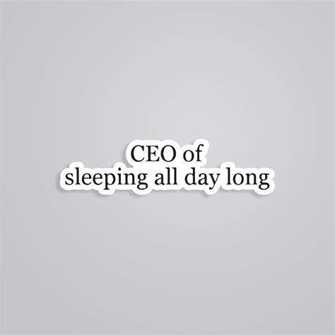 CEO of sleeping all day Witty Stickers - For those who dream big... and ...