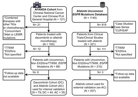Afatinib and Dacomitinib Efficacy, Safety, Progression Patterns, and ...
