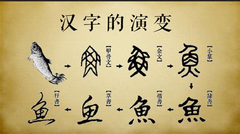 汉字的来历是怎样的，中国汉字的演变过程是怎样的？