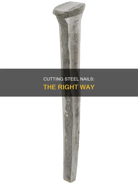 Cutting Steel Nails: The Right Way | Nailicy