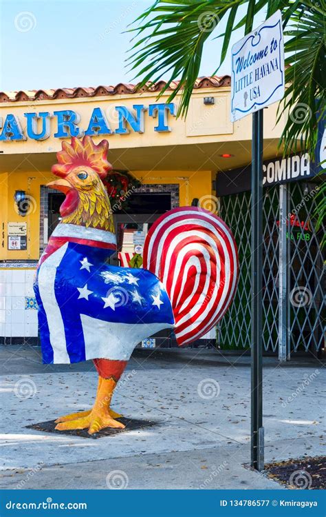 Rooster Displaying the Cuban and the American Flags at Little Havana in Miami Editorial ...