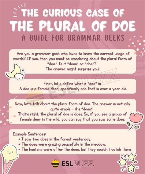 What Is Plural For Glass at Georgia Ramsey blog