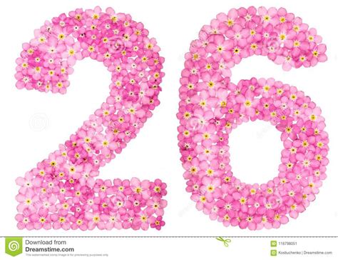阿拉伯数字26，二十六，从桃红色勿忘草开花， 库存例证. 插画 包括有 计数, 愉快, 没人, 花卉, 生日 - 116798051