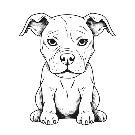 How To Draw A Pitbull Face Easy