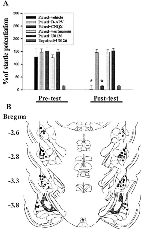 The Similarities and Diversities of Signal Pathways Leading to Consolidation of Conditioning and ...