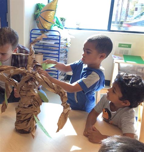 Washing Tree Activities 的图像结果