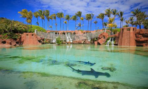 11 Best Nassau, Bahamas Excursions Cruisers Should Try