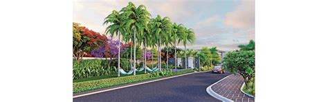 DSR Elixir | 2.52 Cr | 2026 | Eco Space Realtors