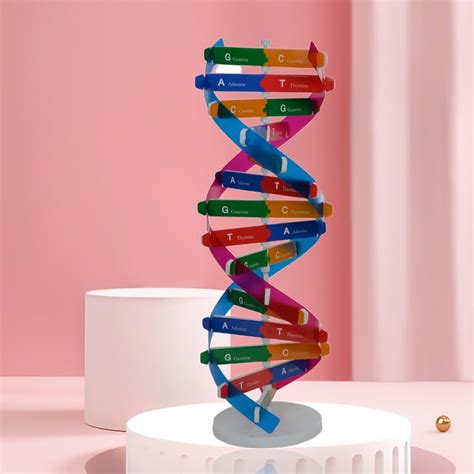 Image result for DNA Models Made Easy