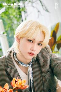Stray Kids South Korean Boy Band Kpop Matte Finish Poster Paper Print ...
