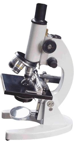 Image result for Mono Microscope