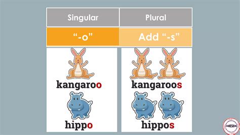 Plural Nouns: English Language | PDF