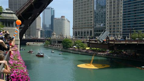 Chicago Ducky Derby | Things to do in Chicago