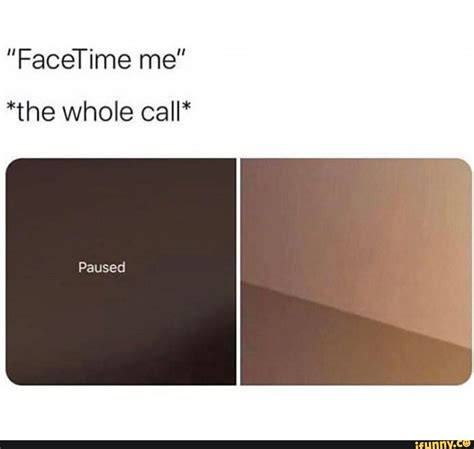 "FaceTime me" *the whole call* Paused - iFunny | Funny school memes, Me ...