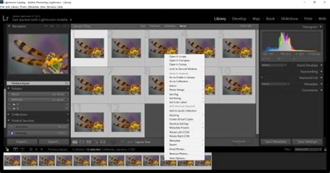 Helicon Focus 7 Tutorial 的图像结果