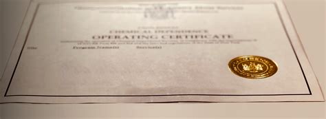 Image result for Program Analyst Certification