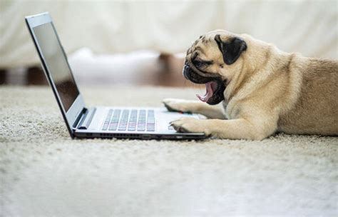 Image result for Watson Discovery Tutorial