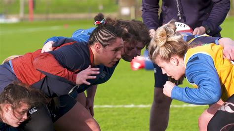 Red Roses O2 Inside Line 的图像结果