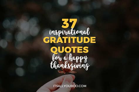 37 Inspirational Gratitude Quotes for a Happy Thanksgiving