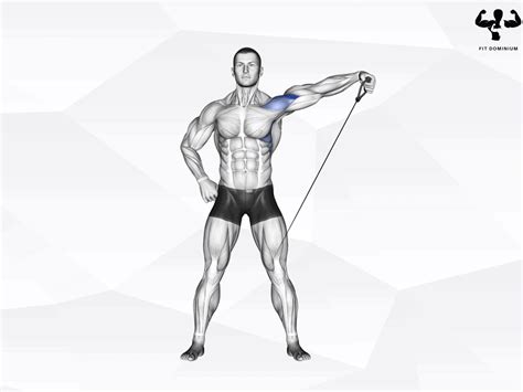 10 Functional Trainer Exercises For Strength (With Free PDF) | FitDominium