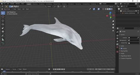 3D Realistic Bottlenose Dolphin Turn model | 3D Molier International