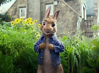 Image result for Peter Rabbit DVD