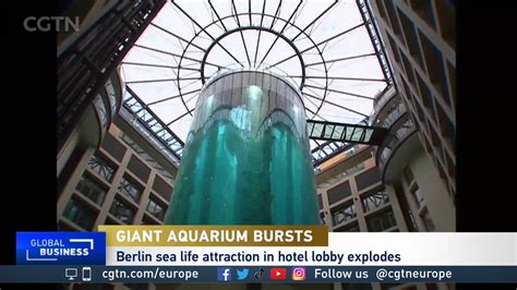 Image result for Exploding Aquariums