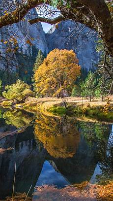 Wallpapers 4k by Wallpaper Yosemite 5k 4k Wallpaper 8k Forest Osx Wallpapers 4k