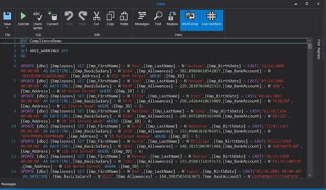 How to Mask Data in SQL Server 的图像结果