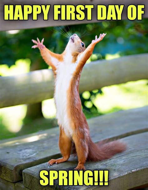 Spring Java Meme 的图像结果