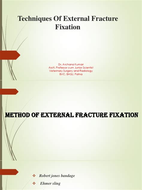 Image result for External Fixation Explained